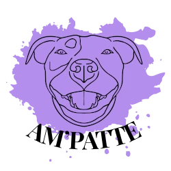 Logo AM'PATTE éducateur comportementaliste canin