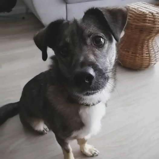 Tex
