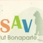 certificat aide soignante spécialisée vétérinaire